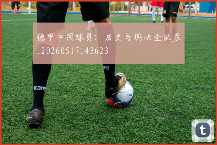 德甲中国球员：历史与现状全记录_20260517143623